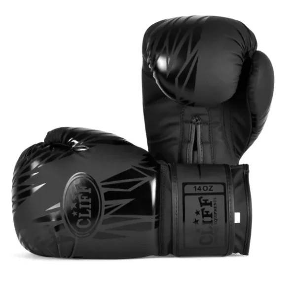 Перчатки боксерские CLIFF CS-2 FLEX 10oz черный