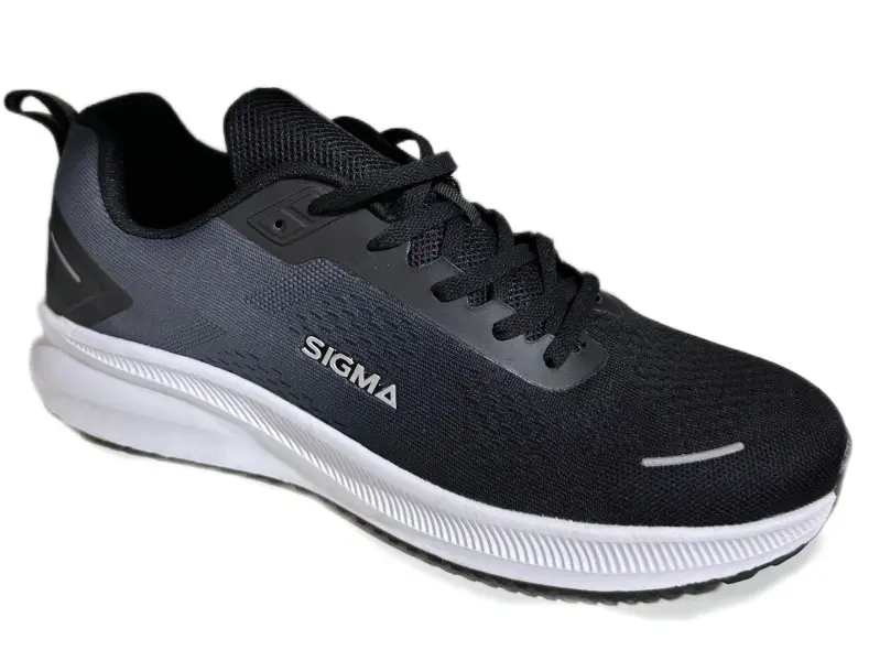 Кроссовки мужские "Sigma" JT02059-4C